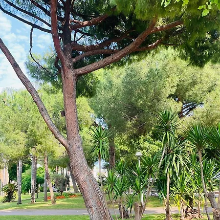 Magnifique 2 Au Bord Des Plages Centre De Entierement Climatise Apartment